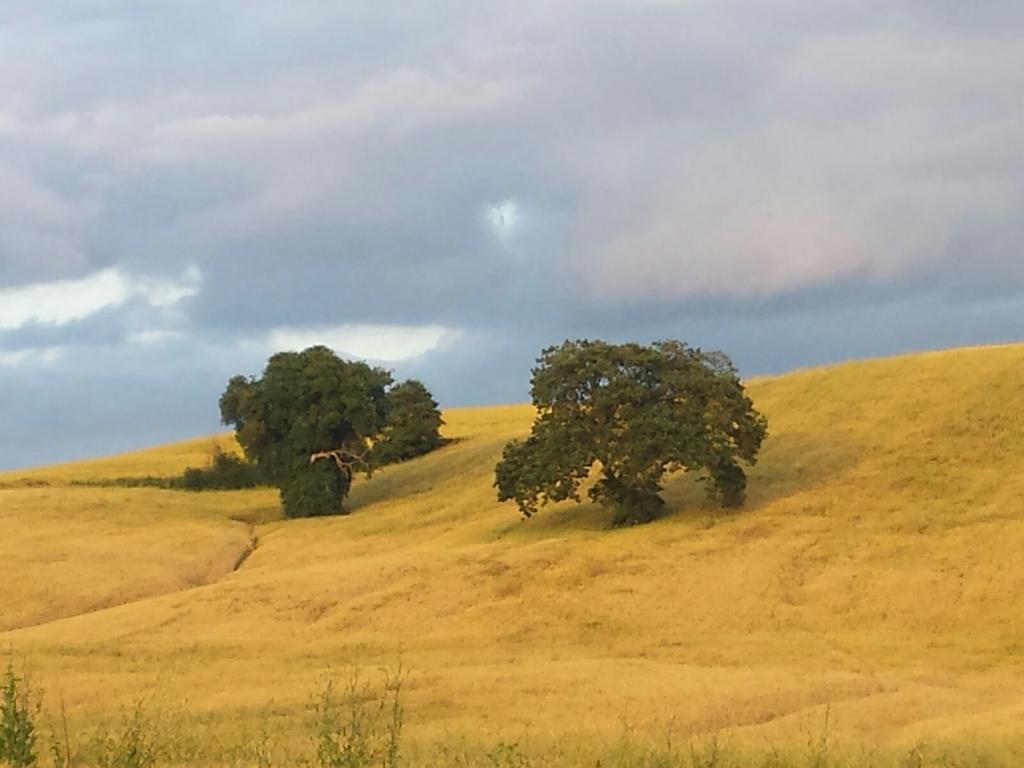 Agriturismo San Pierino モンテローニ・ダルビア エクステリア 写真